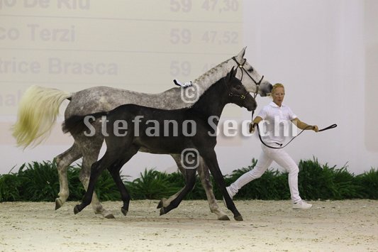 CA D ORO_MILANO_2010_SS3_3898.jpg